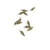 210 PCS Ancient Antique Bronze Fashion Jewelry Making Crafting Charms Findings Bulk for Bracelet Necklace Pendant Retro Accessoires Lots Vintage C2EB8K Leaf Leaves view 1