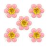 Baby Pink Cherry Blossom Enamel and Brass Flower Sew-On Trims - Embellishments for Clothing, Accessories - Pack of 5 view 1