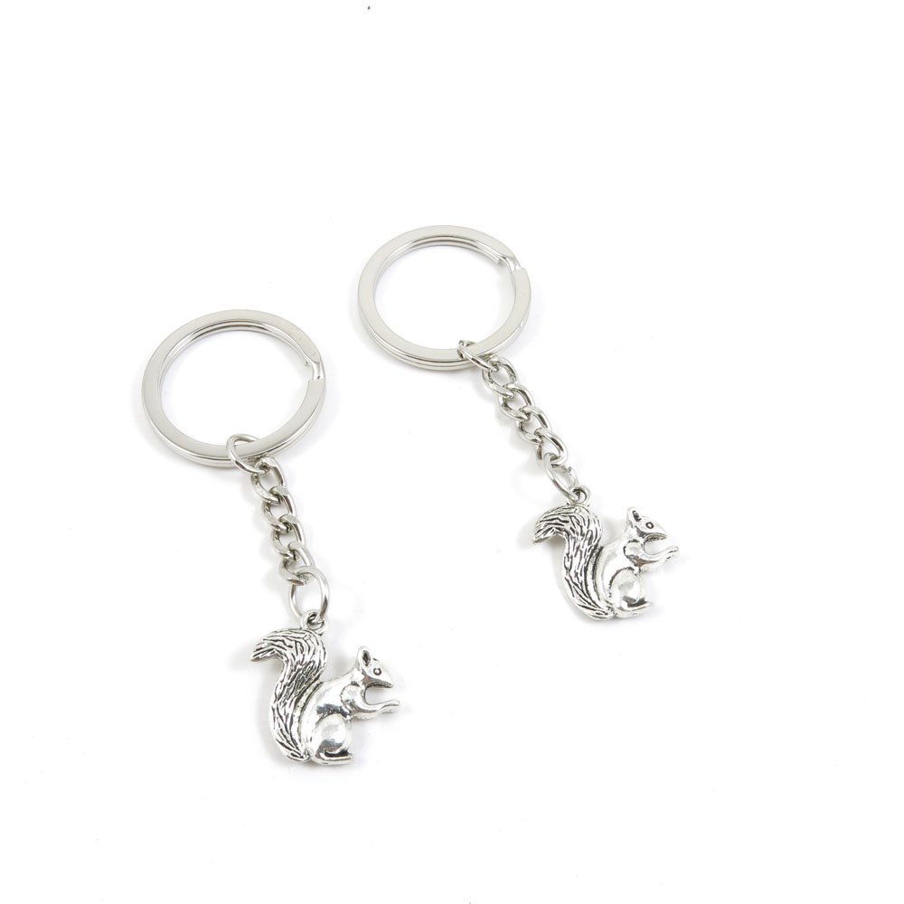 10 PCS Arts Crafts Fashion Jewelry Making Findings Key Ring Chains Tags Clasps Keyring Keychain T8QT4Y Squirrel