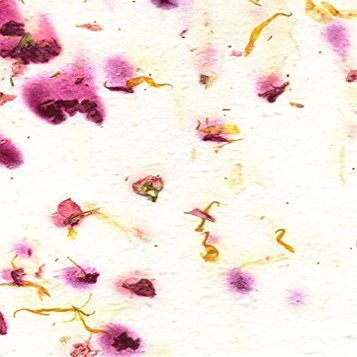 Of The Earth Handmade Paper - Wildflower Seed Cut Edge Invitation Panel - 4" x 6" - Set of 8 (61s Marigold & Stock)
