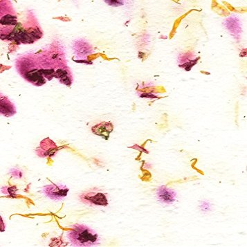 Of The Earth Handmade Paper - Wildflower Seed Cut Edge Invitation Panel - 4" x 6" - Set of 8 (61s Marigold & Stock)