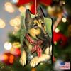 Designocracy Spring Training Wooden Ornaments Pets Set of 2 by Laura Seeley - 8511015-LS-S2 view 3