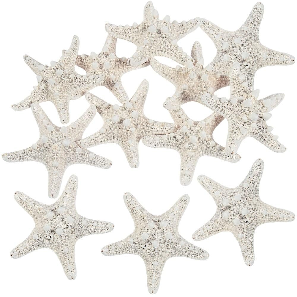 Fun Express Bleached Philippine Starfish Shells Natural Craft Supplies for Kids DIY Projects Beach-Themed Crafts & VBS 2026 Decorations Perfect for Home Activities Party Favors Scrapbooking 12 pcs