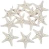 Fun Express Bleached Philippine Starfish Shells Natural Craft Supplies for Kids DIY Projects Beach-Themed Crafts & VBS 2026 Decorations Perfect for Home Activities Party Favors Scrapbooking 12 pcs view 1