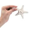 Fun Express Bleached Philippine Starfish Shells Natural Craft Supplies for Kids DIY Projects Beach-Themed Crafts & VBS 2026 Decorations Perfect for Home Activities Party Favors Scrapbooking 12 pcs view 2