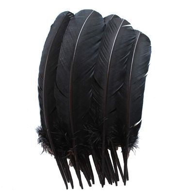 Turkey Feathers, White Turkey Round Quill Feathers (6-8", White)