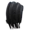 Turkey Feathers, White Turkey Round Quill Feathers (6-8", White) view 1
