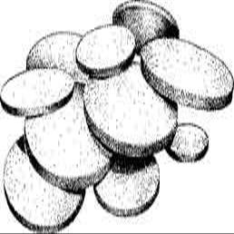 Kimble Chase DISC 60MM M Fritted Discs - KMBL