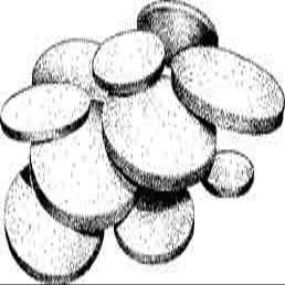 Kimble Chase DISC 60MM M Fritted Discs - KMBL