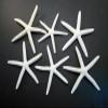 6 White Pencil (Finger) Starfish 5-6" Beach Wedding Nautical Decor Crafts view 1