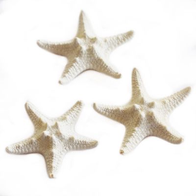 Set of 12 White Knobby Starfish for Beach Wedding Crafts and Decor 3" - 4" Nautical Coastal Beach Cottage Decor