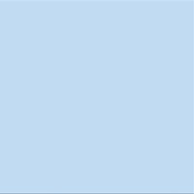 Bazzill Card Shoppe Heavyweight Cardstock 12"X12"-Icy Mint