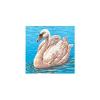 Needlepoint Printed Canvas view 1