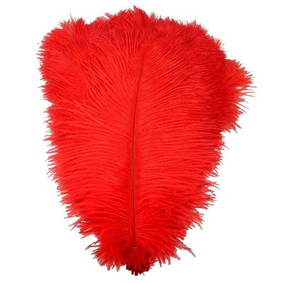 MELADY Pack of 1000pcs Natural Ostrich Feathers 16-18inch(40~45cm) for Home Wedding Party Decoration (red)