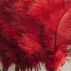 MELADY Pack of 1000pcs Natural Ostrich Feathers 16-18inch(40~45cm) for Home Wedding Party Decoration (red) view 2
