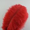 MELADY Pack of 1000pcs Natural Ostrich Feathers 16-18inch(40~45cm) for Home Wedding Party Decoration (red) view 3