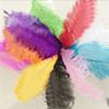 MELADY Pack of 1000pcs Natural Ostrich Feathers 16-18inch(40~45cm) for Home Wedding Party Decoration (red) view 4