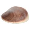 KESAR ZEMS Natural Gomati Chakra - Big Size view 1