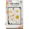 Prima Marketing 655350594749 Prima Flowers - Ainsley view 1