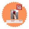 8x10 Mat for 16x20 Frame - Precut Mat Board Acid-Free Show Kit with Backing Board, and Clear Bags Orange 8x10 Photo Matte Made to Fit a 16x20 Picture Frame Matboard for Framing, Pack of 10 Mats view 1