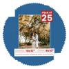 8x10 Mat for 10x12 Frame - Precut Mat Board Acid-Free Show Kit with Backing Board, and Clear Bags Royal Blue 8x10 Photo Matte Made to Fit a 10x12 Picture Frame Matboard for Framing, Pack of 25 Mats view 1