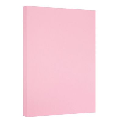 JAM PAPER Vellum Bristol 65lb Cardstock - 11 x 17 Ledger Size Coverstock - 147 gsm - Pink - 50 Tabloid Sheets/Pack
