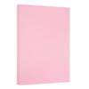 JAM PAPER Vellum Bristol 65lb Cardstock - 11 x 17 Ledger Size Coverstock - 147 gsm - Pink - 50 Tabloid Sheets/Pack view 1