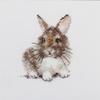 Rabbit Cross-Stitch kit on Aida 14 Count Canvas. Monochrome Little Bunny Animal. Easy & Fast Cross Stitch kit by Alisa 0-170 view 1