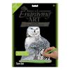 Royal & Langnickel SILF43 Engraving Art Set Silver Foil Snowy Owls view 1