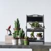 A&B 1360-AB D5.5x11 Ceramics Plant Decorate view 2