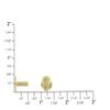 Double Cap Rivet, Natural Brass, Solid Brass-LL (100 Sets per Bag) view 4