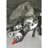 Lefranc Bourgeois, Oil-Based Paint, Phtalocyanine Armor Green, 40ml view 3