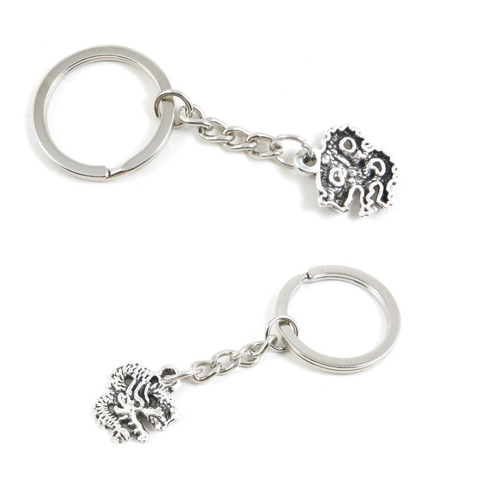 100 Pieces Keychain Keyring Door Car Key Chain Ring Tag Charms Supply X1GB4L Chinese Dragon
