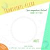 Heat Transfer Vinyl 10" x 5 Yards Roll T-Shirt Iron ON All Cutting Machines. (White) view 1