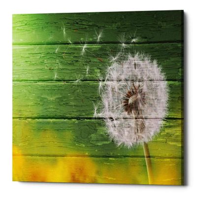 Epic Graffiti 'Wood Series: Dandi Green' Canvas Wall Art, 18" x 26"