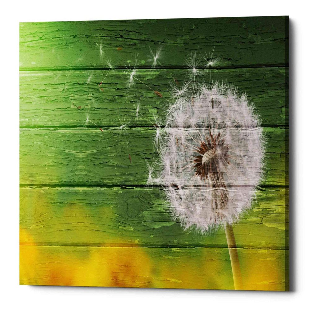Epic Graffiti 'Wood Series: Dandi Green' Canvas Wall Art, 18" x 26"