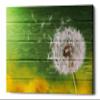Epic Graffiti 'Wood Series: Dandi Green' Canvas Wall Art, 18" x 26" view 1