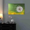 Epic Graffiti 'Wood Series: Dandi Green' Canvas Wall Art, 18" x 26" view 2