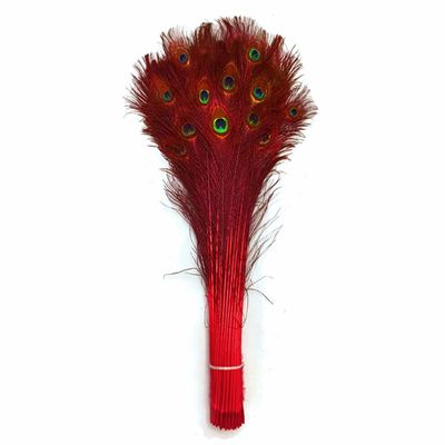 Feather Store - 10 Real Dyed Peacock Eye Feathers 30-35" - Perfect for Crafts, Weddings, Halloween, Home Decor, Peacock Feathers for Vase, Peacock Feather Decorations, and More - Red