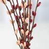 Factory Direct Craft Pack of 12 Peach and Burgundy Pip Berry Stems Fall Rustic Berries, Farmhouse Home Decor for Table Arrangements and Thanksgiving Centerpiece Decorations (12" H) view 1