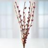 Factory Direct Craft Pack of 12 Peach and Burgundy Pip Berry Stems Fall Rustic Berries, Farmhouse Home Decor for Table Arrangements and Thanksgiving Centerpiece Decorations (12" H) view 3