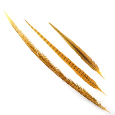 ZUCKER Assorted Pheasant Tails Dyed - Gold
