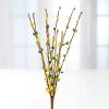 Factory Direct Craft Pack of 12 Yellow and Green Pip Berry Stems Summertime Rustic Berries, Farmhouse Home Decor for Table Arrangements and Easter Centerpiece Decorations (12" H) view 3