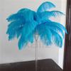 100% Natural Ostrich Feather Craft, 10 Pcs Ostrich Feathers Plume, Feather Festival Supplies Accessories, DIY Plumage Artware, for Wedding Centerpieces Home Decoration (Pink, 16-18 inch) view 2