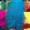 100% Natural Ostrich Feather Craft, 10 Pcs Ostrich Feathers Plume, Feather Festival Supplies Accessories, DIY Plumage Artware, for Wedding Centerpieces Home Decoration (Pink, 16-18 inch) view 4