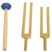 TFS Tuningforkshop Gold Finish C & G Whole Body Tuning Forks for Sound Healing