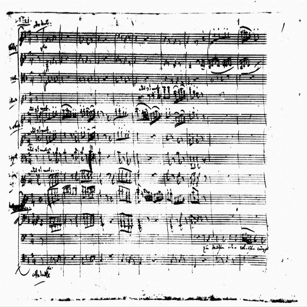 Mozart Magic Flute NpapagenoS Aria From Wolfgang Amadeus MozartS Manuscript Of The Magic Flute Poster Print by (18 x 24)