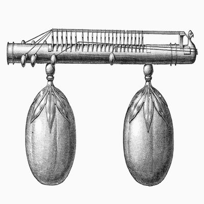 Musical Instrument Veena Na Veena (Or Vina) A Plucked Stringed Instrument Of India Line Engraving German Late 19Th Century Poster Print by (24 x 36)