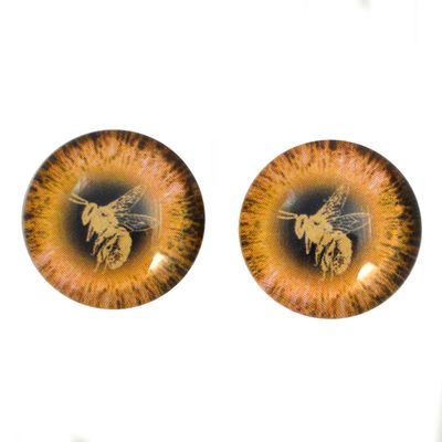 Queen Bee Glass Eyes Honey Bumble Bug Insect Black Yellow Orange Art Dolls Taxidermy Sculptures or Jewelry Making Crafts Matching Set of 2 (20mm)
