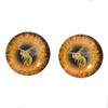 Queen Bee Glass Eyes Honey Bumble Bug Insect Black Yellow Orange Art Dolls Taxidermy Sculptures or Jewelry Making Crafts Matching Set of 2 (20mm) view 1